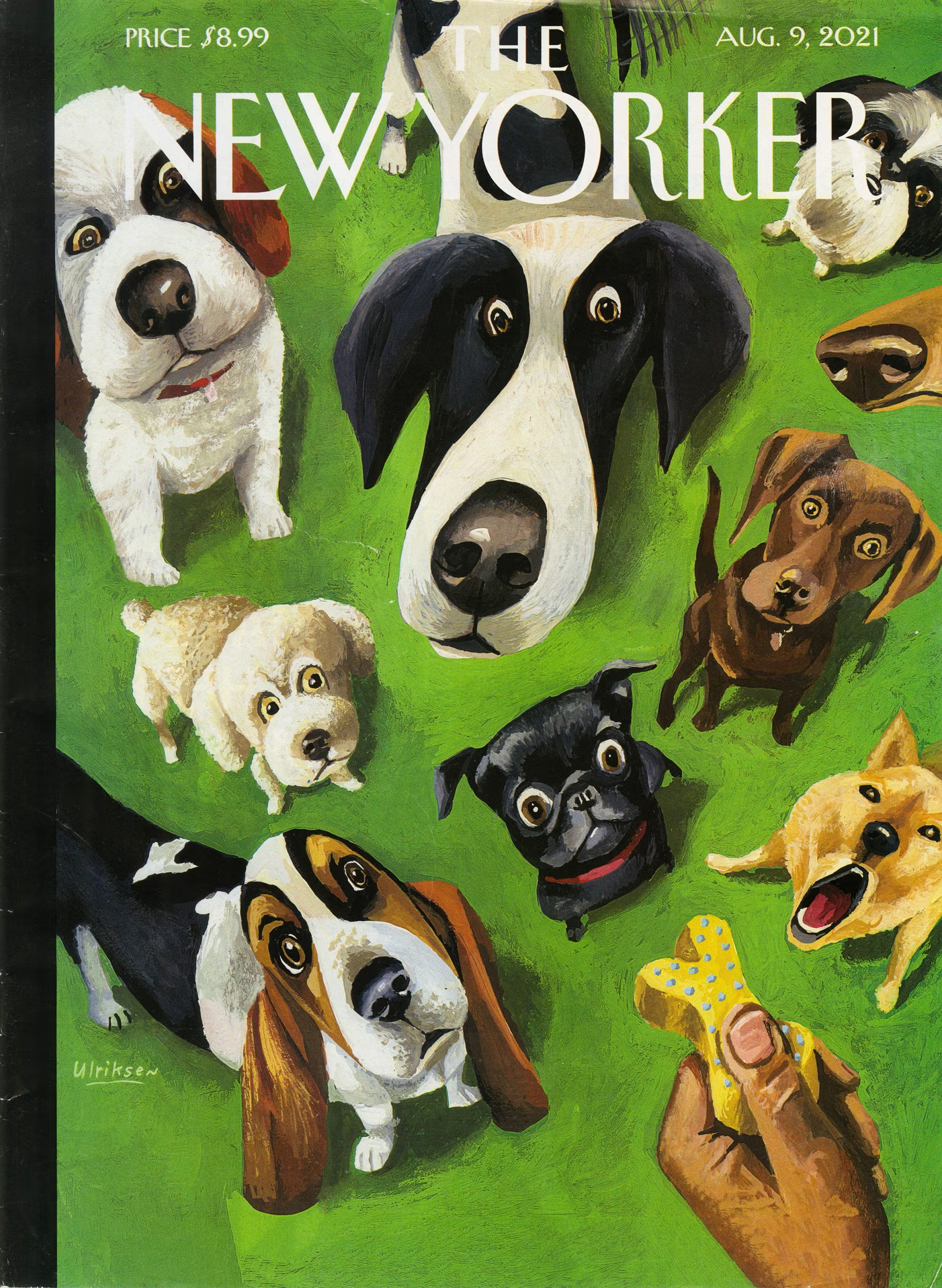 The New Yorker in Dog Years