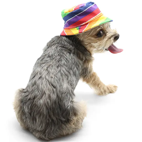 Summery Dog Bucket Hats