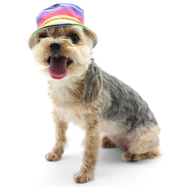 Summery Dog Bucket Hats