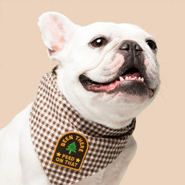 Dog Merit Badges