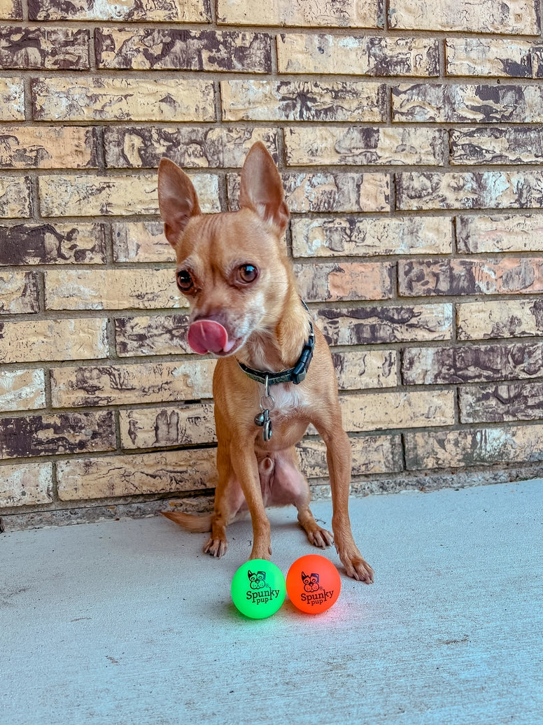 Fetch and Glow Balls