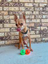 Load image into Gallery viewer, Fetch and Glow Balls from Spunky Pup
