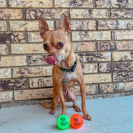 Fetch and Glow Balls