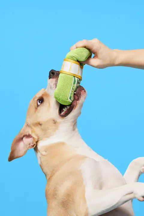 Cheeky Squeaky Dog Toys