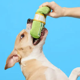 Cheeky Squeaky Dog Toys