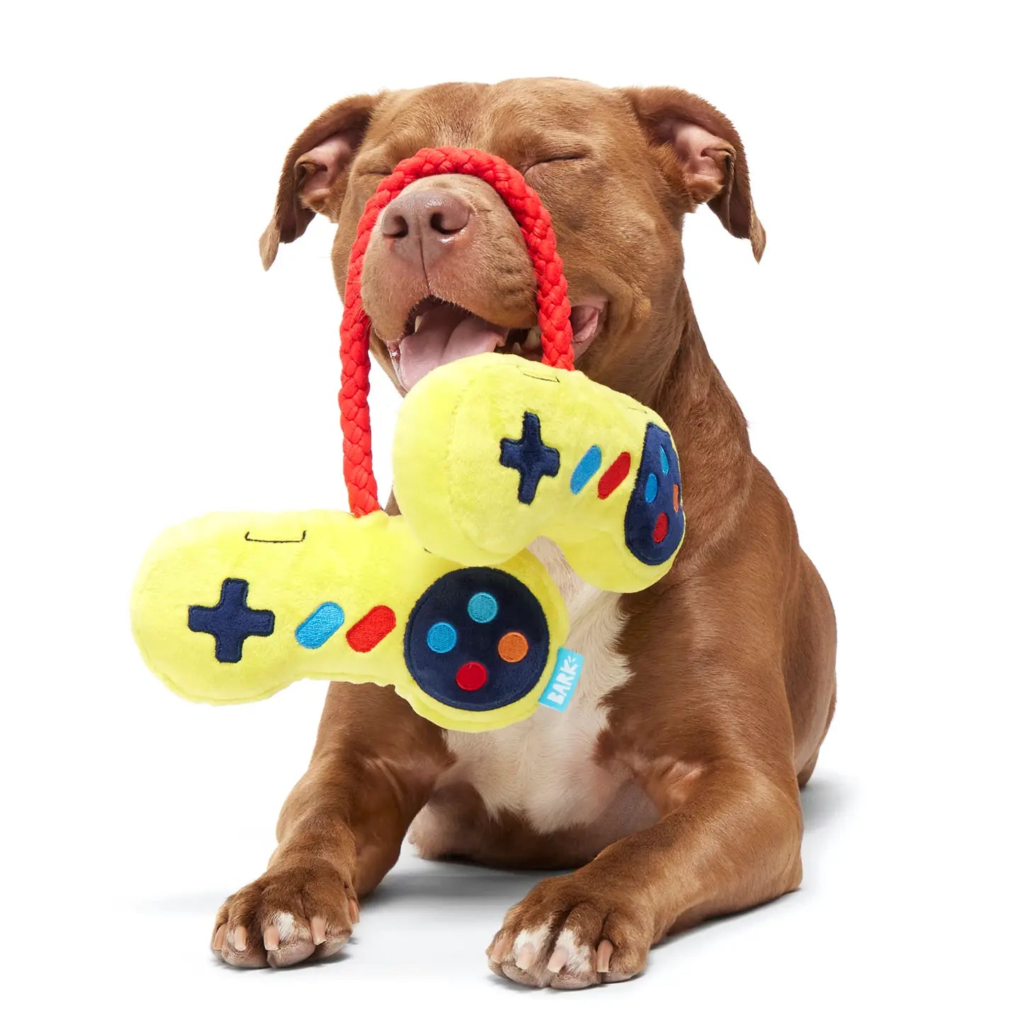 Retro Pop Culture Inspired Dog Toys