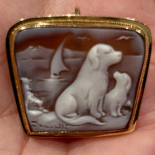 Load image into Gallery viewer, Sardonyx Shell Cameo Jewelry
