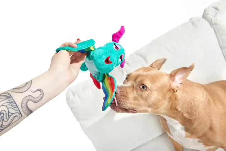 Cheeky Squeaky Dog Toys