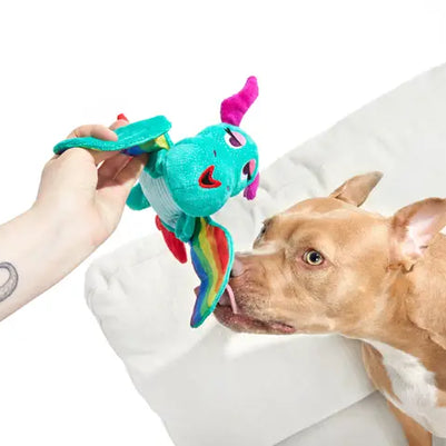 Cheeky Squeaky Dog Toys