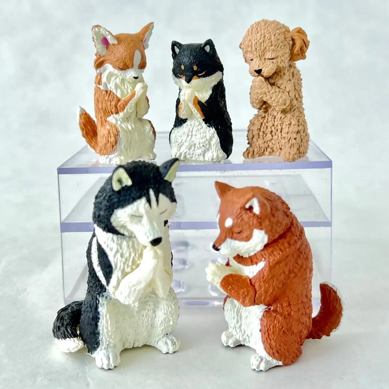 Wishing Dogs Figurine Blind Boxes