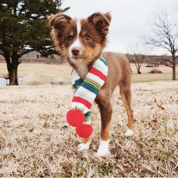 Holiday Scarves for Dogs