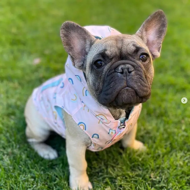 In the Clouds Print Reversible Raincoat for Dogs