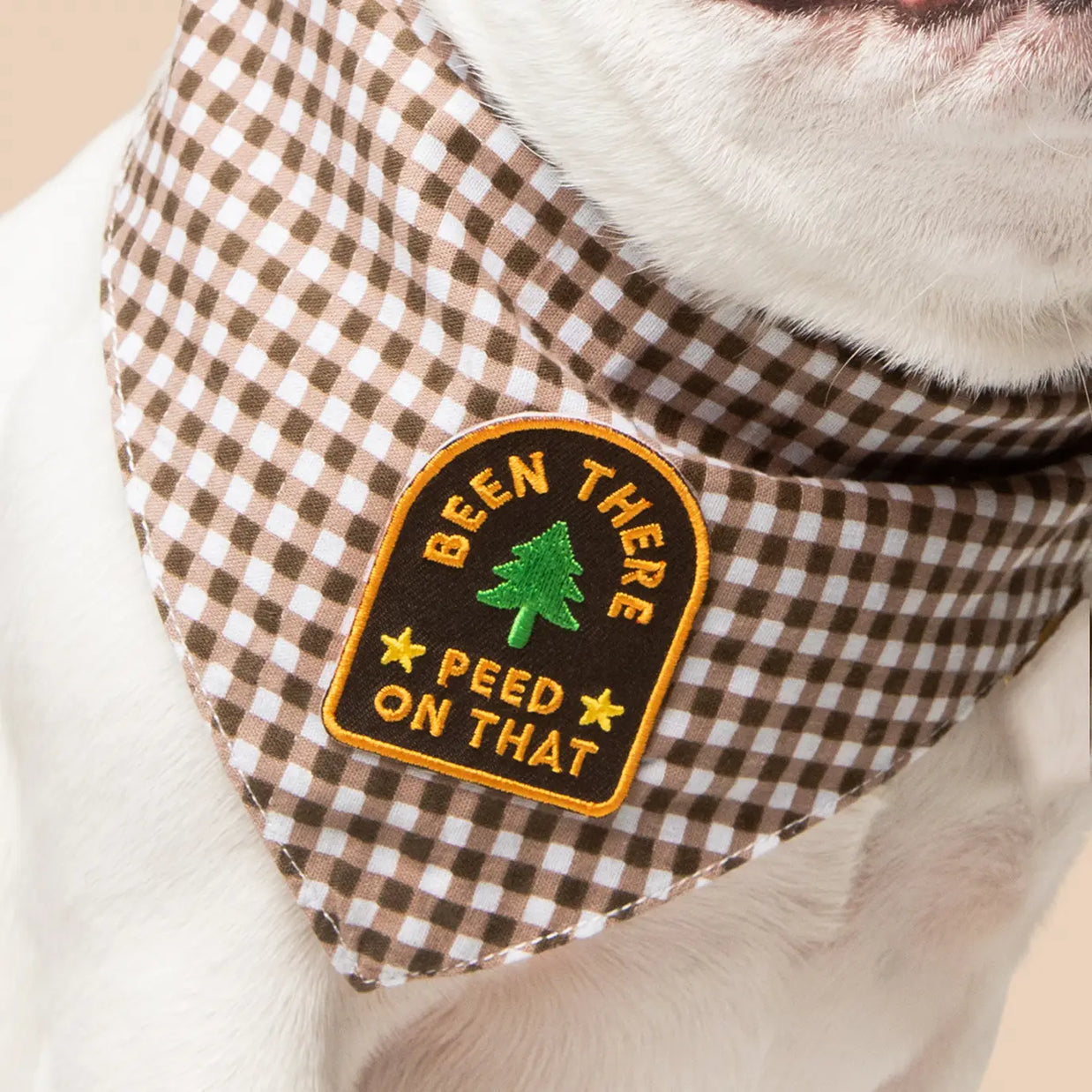 Dog Merit Badges
