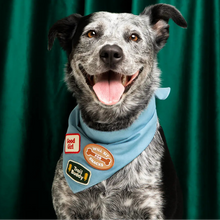 Load image into Gallery viewer, Dog Merit Badges
