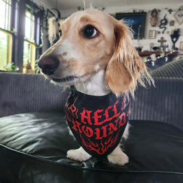 Gothic Pet Bandanas