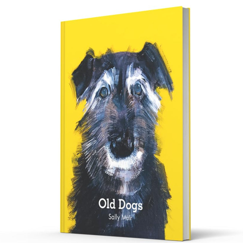 Old Dogs by Sally Muir