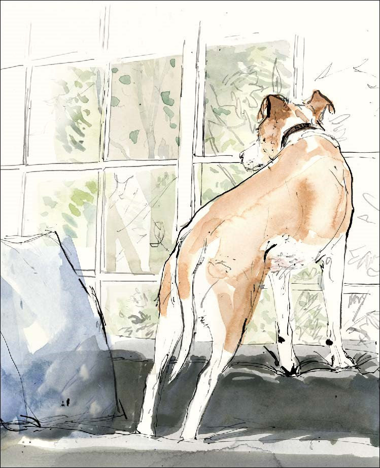Sarah Maycock Illustrated 