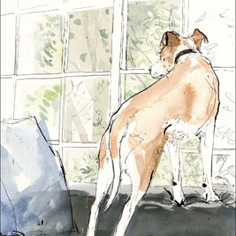 Sarah Maycock Illustrated 