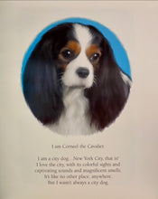 Load image into Gallery viewer, SIGNED - Corneel the Cavalier by Janet York &amp; Rosemary Carroll
