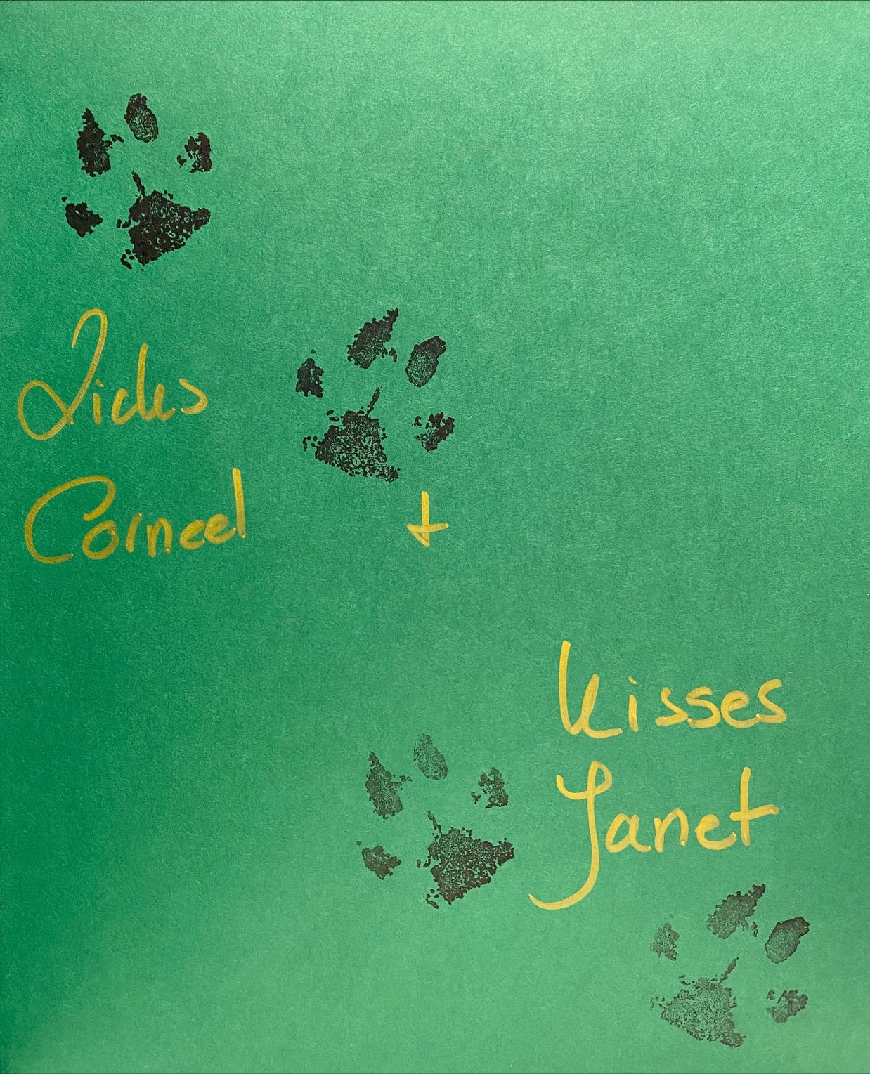 SIGNED - Corneel the Cavalier by Janet York & Rosemary Carroll