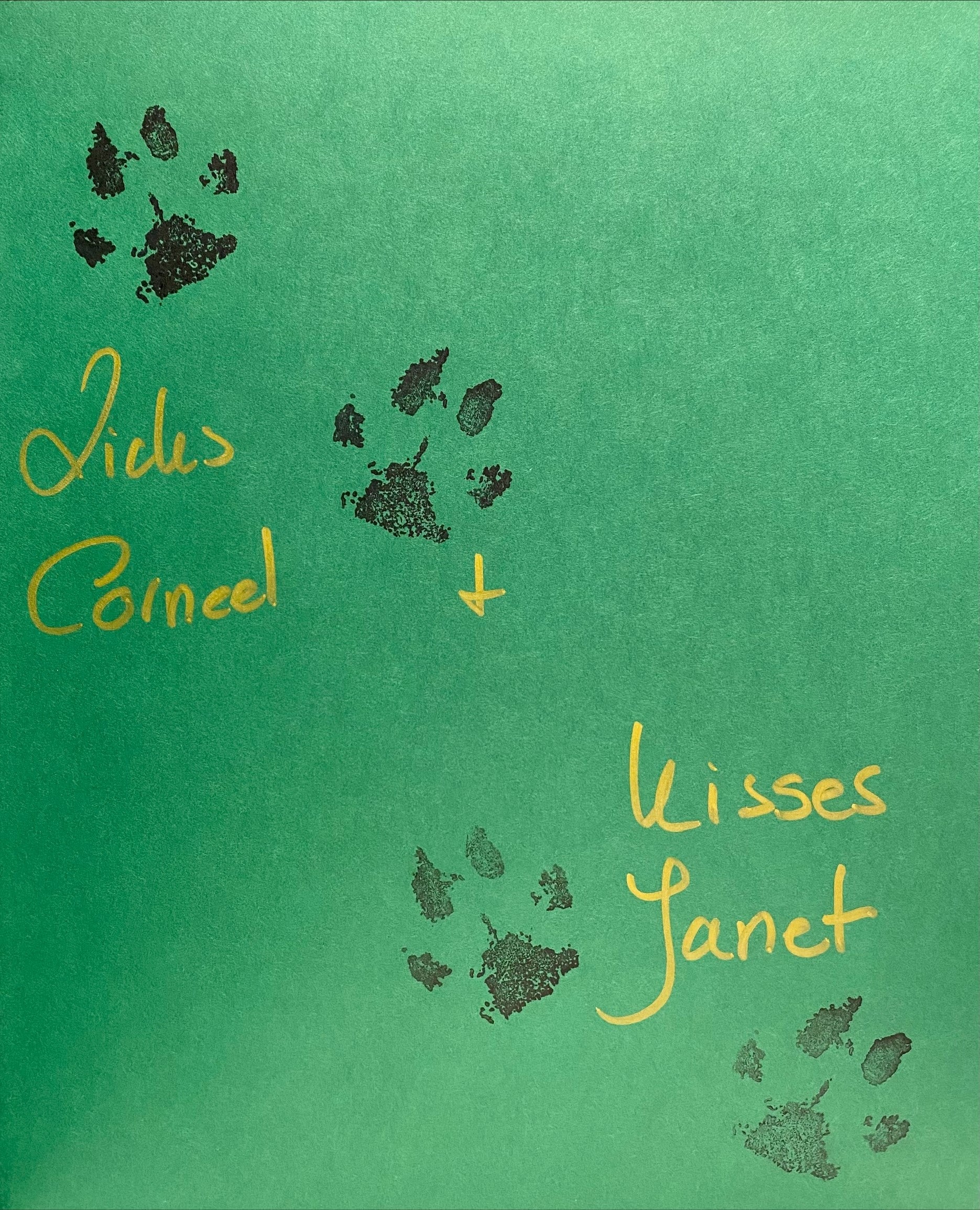 SIGNED - Corneel the Cavalier by Janet York & Rosemary Carroll