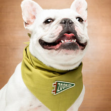 Load image into Gallery viewer, Dog Merit Badges
