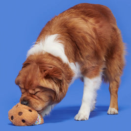 Cheeky Squeaky Dog Toys