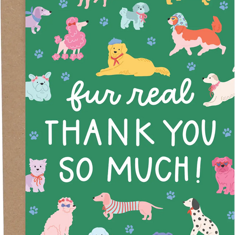 Bright and Cheery Birthday Cards