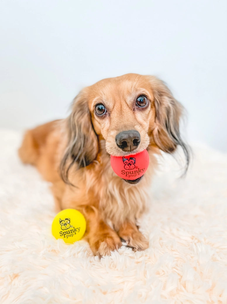 Fetch and Glow Balls