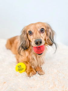 Fetch and Glow Balls from Spunky Pup