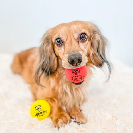 Fetch and Glow Balls