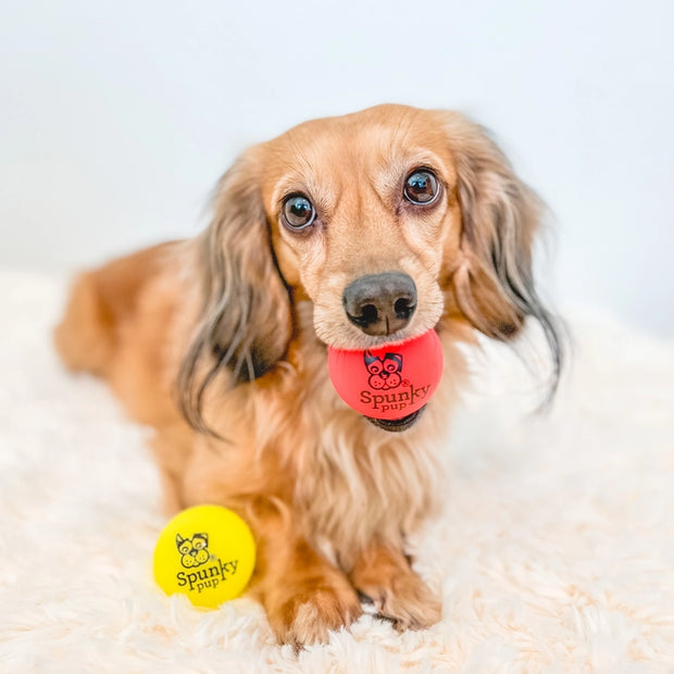 Fetch and Glow Balls