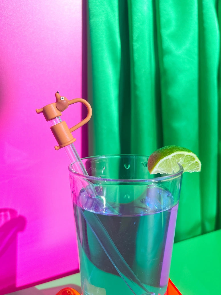 Dachshund Straw Cover