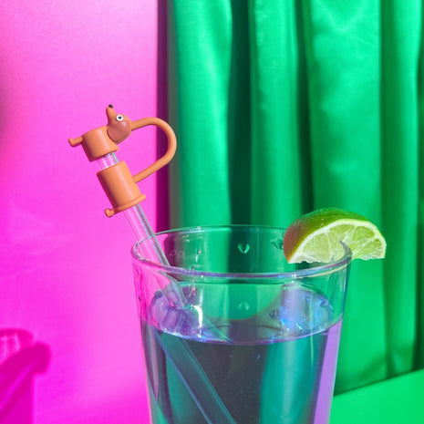 Dachshund Straw Cover