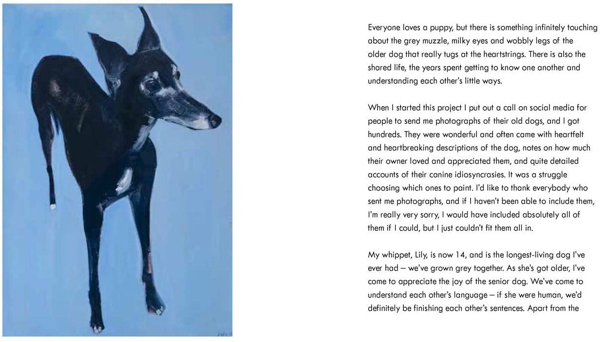 Old Dogs by Sally Muir