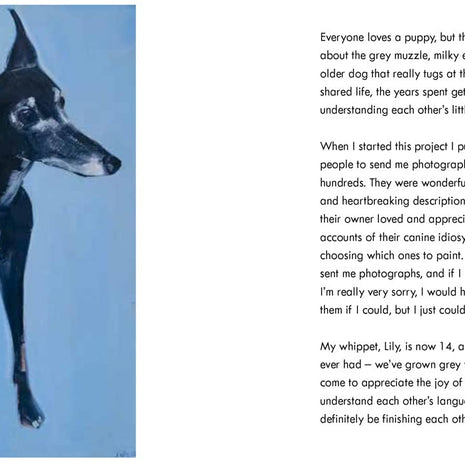 Old Dogs by Sally Muir