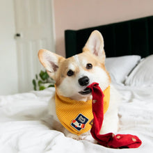 Load image into Gallery viewer, Dog Merit Badges

