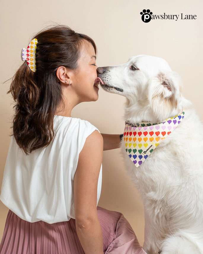 Matching Dog Bandana and Human Hair Accessories