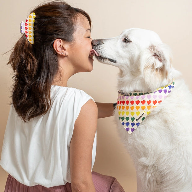 Matching Dog Bandana and Human Hair Accessories