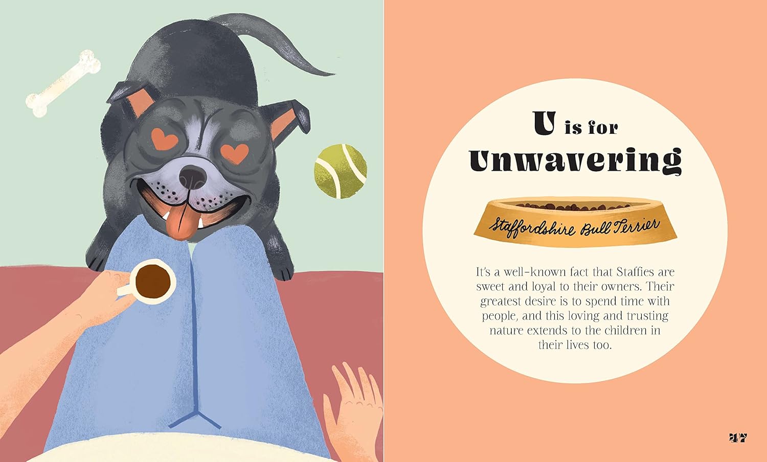 Dogphabet: A whimsical celebration of our favourite canine companions by Meredith Jensen