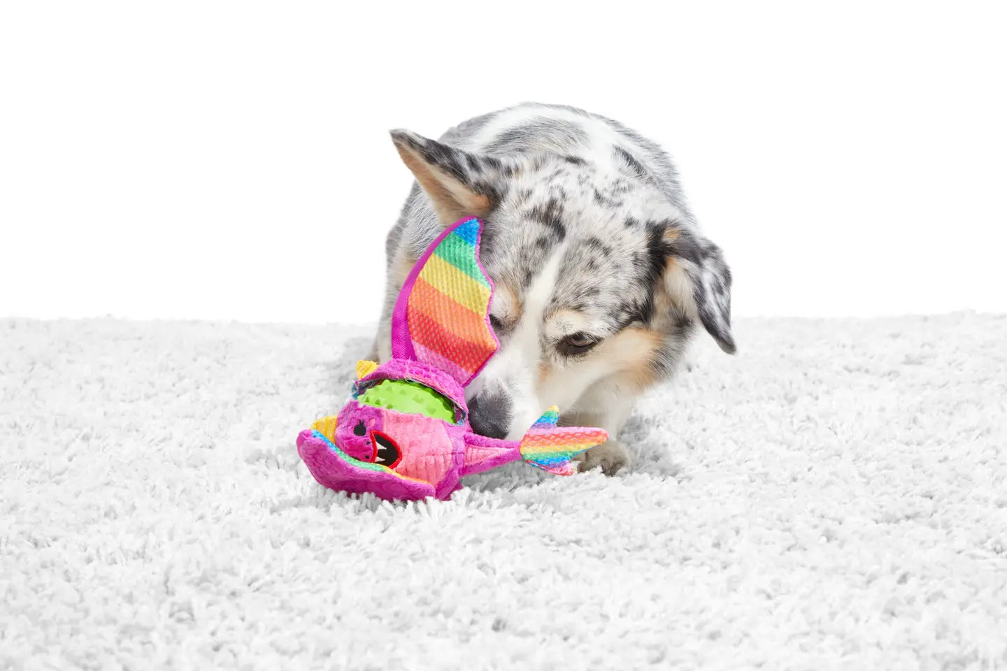 Cheeky Squeaky Dog Toys