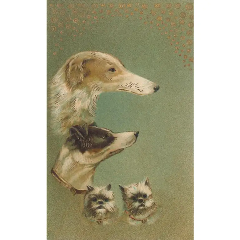 Vintage Style Dog Faces Magnets