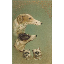 Vintage Style Dog Faces Magnets