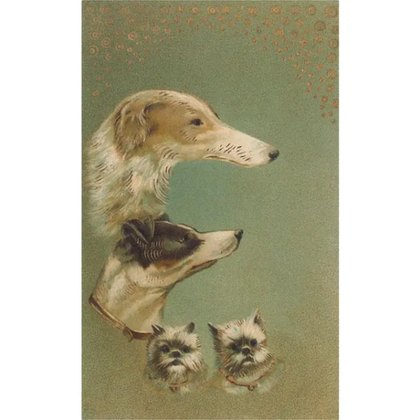 Vintage Style Dog Faces Magnets