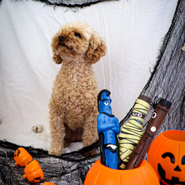 The Sticks Line of Floating Dog Fetch Toys