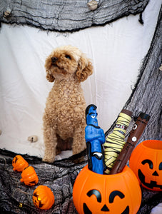 The Sticks Line of Floating Dog Fetch Toys from Dog Owners' Outdoor Goods