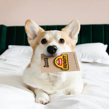 Load image into Gallery viewer, Dog Merit Badges

