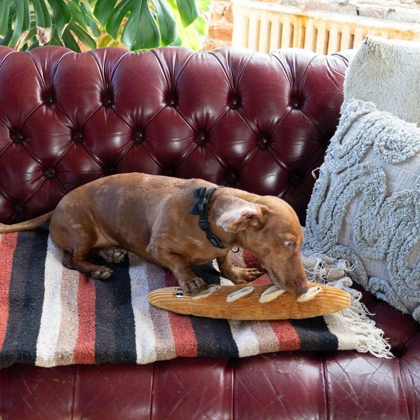 Cafe Themed Dog Toys