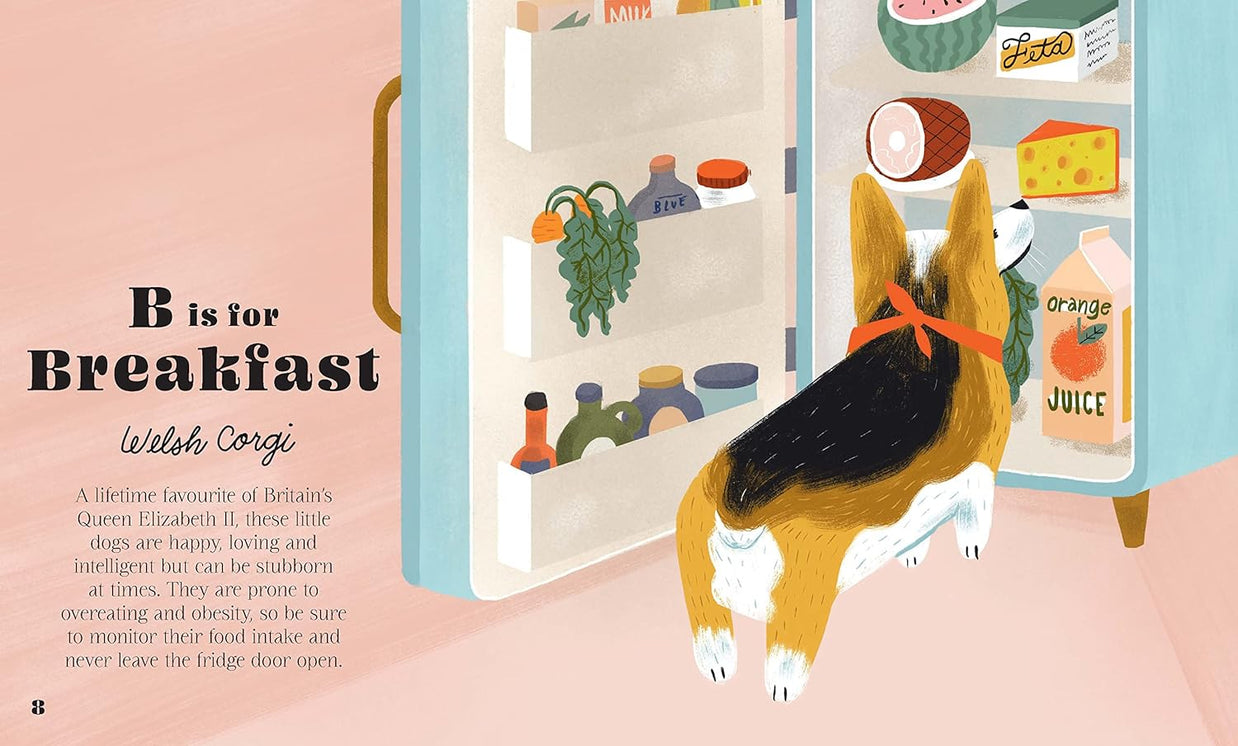 Dogphabet: A whimsical celebration of our favourite canine companions by Meredith Jensen