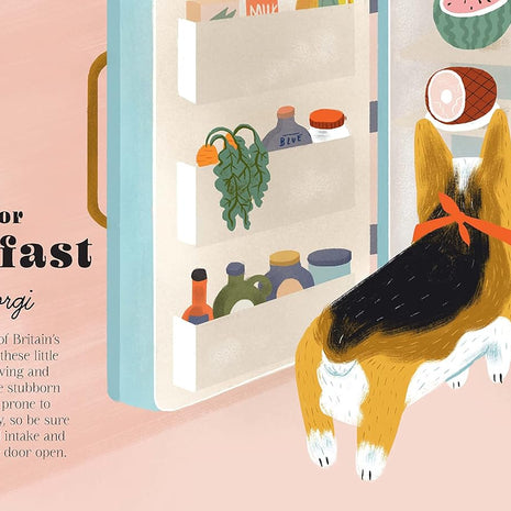 Dogphabet: A whimsical celebration of our favourite canine companions by Meredith Jensen
